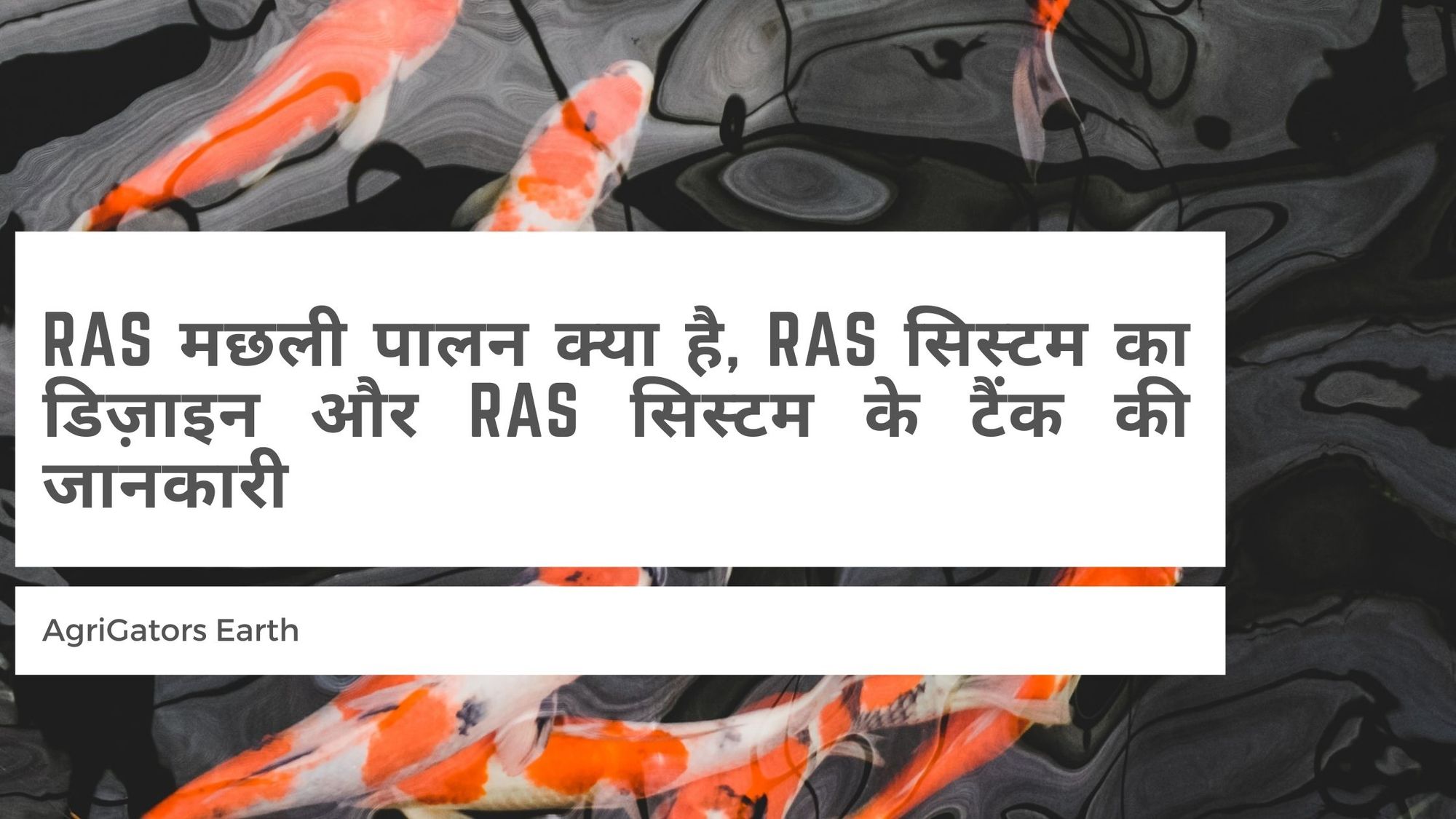 RAS मछली पालन क्या है, RAS सिस्टम का डिज़ाइन और RAS सिस्टम के टैंक की जानकारी